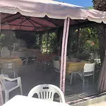 Yucca אבולה
