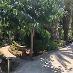 Yucca 3*