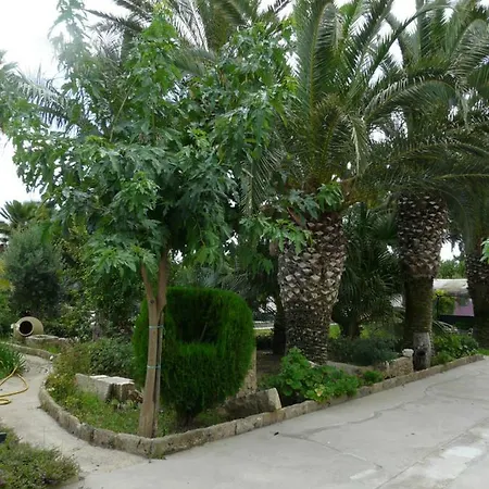 Konukevi Yucca Avola