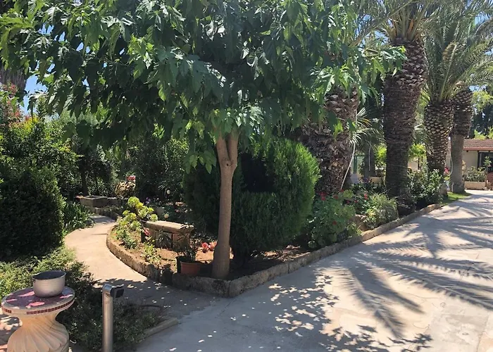 Yucca 3*