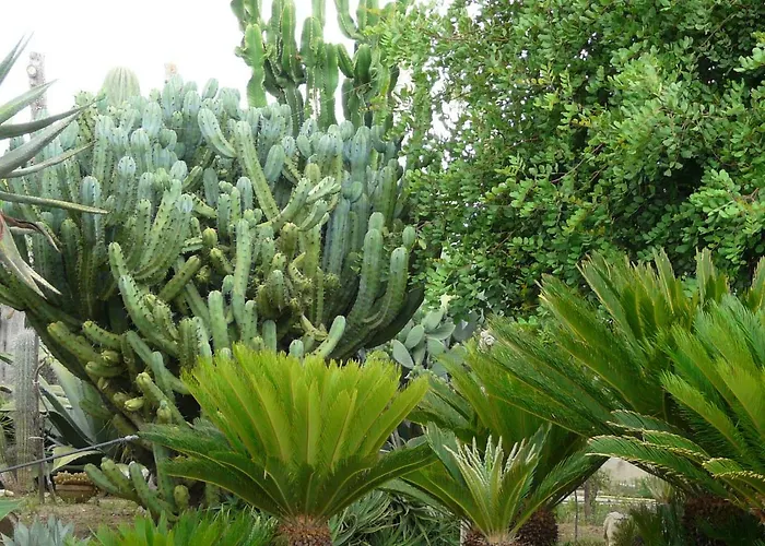 招待所 Yucca
