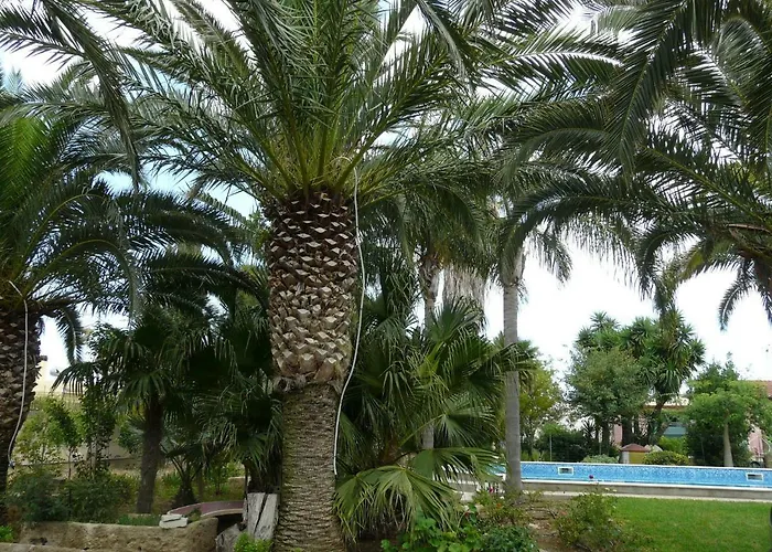Yucca 招待所