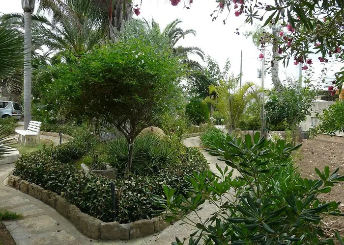 Yucca 阿沃拉