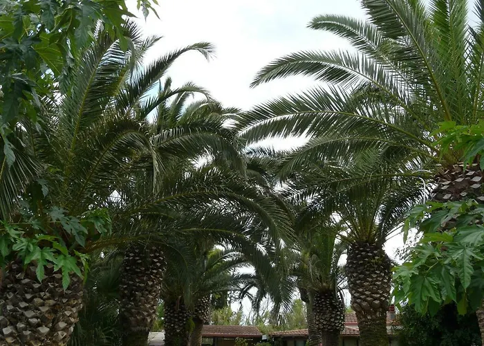 Yucca 招待所 3*