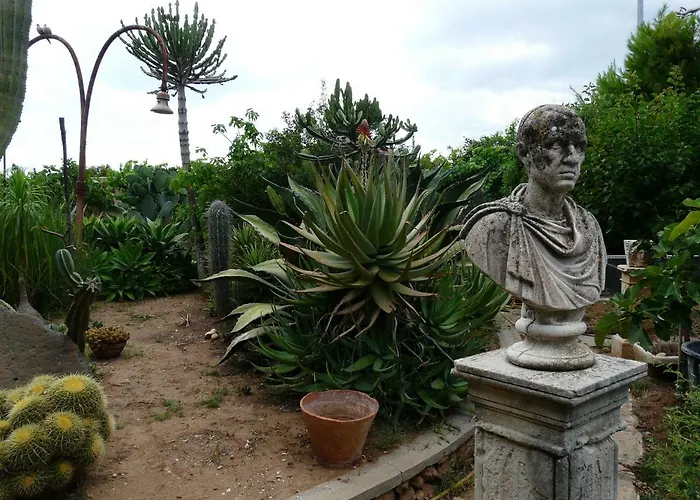Yucca 招待所 阿沃拉