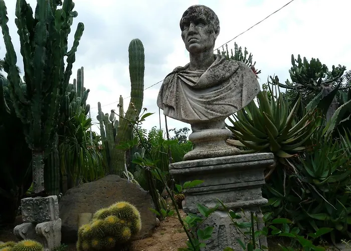 Yucca 招待所