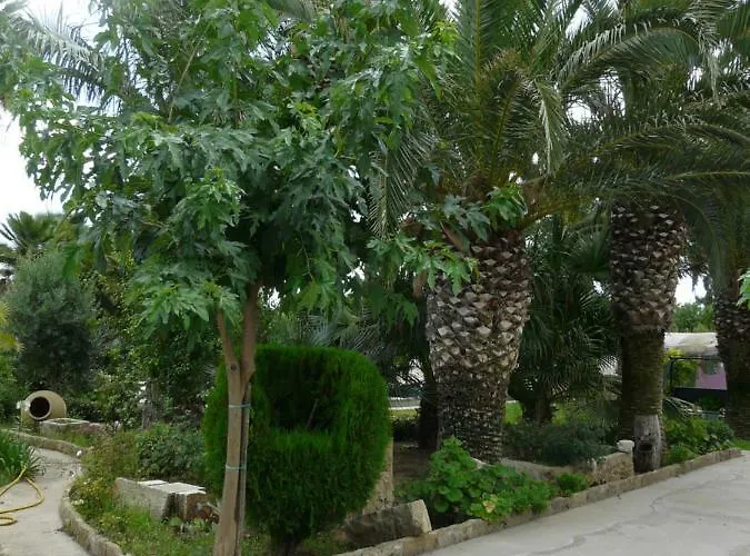招待所 Yucca 阿沃拉