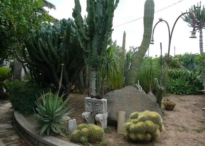Yucca 招待所