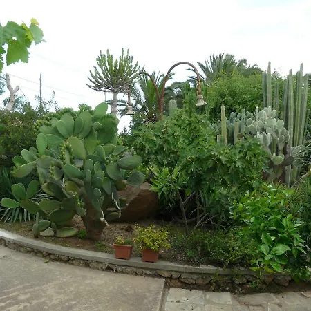 Yucca Guest house *
