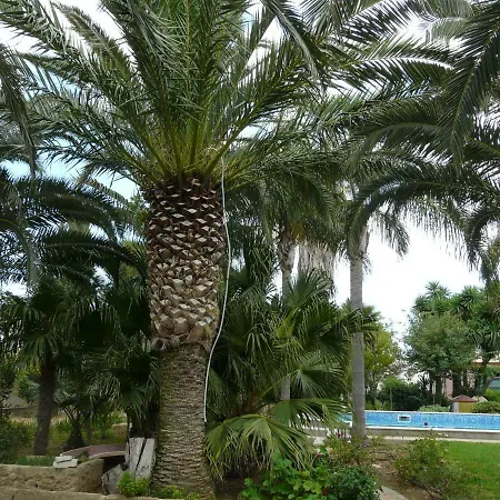 Yucca Guest house