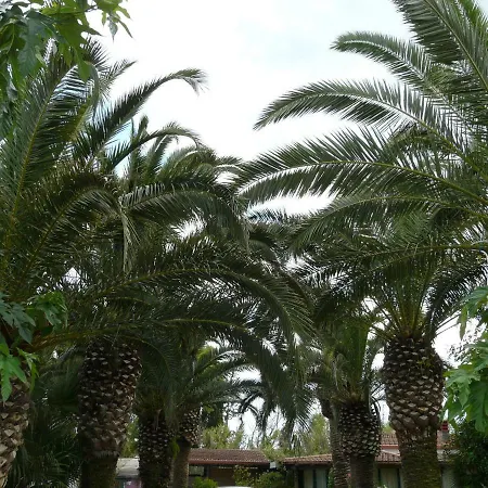 Yucca Guest house *