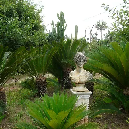 Yucca Guest house *