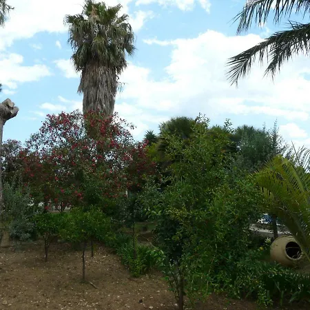 Yucca * Avola