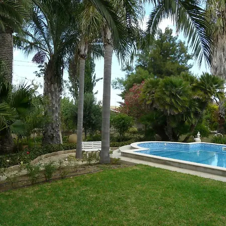Yucca Avola