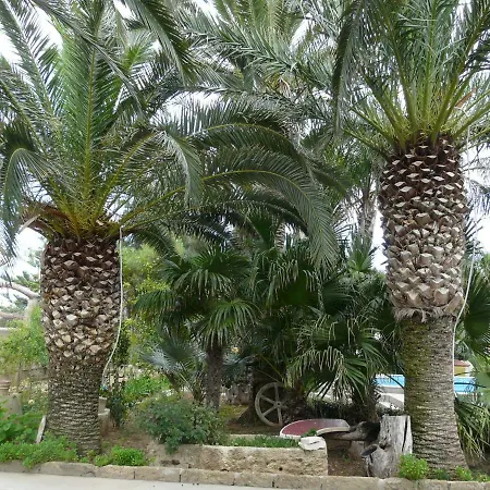 Guest house Yucca *