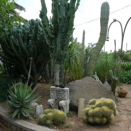 Yucca Guest house