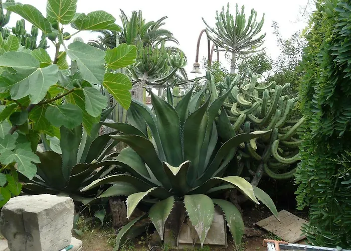 Yucca 招待所